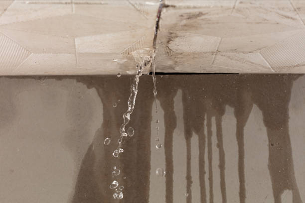 Professional Burst Pipe Cleanup technician working in Woodland Park, CO